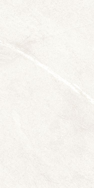 Dhara White Matte 12 x 24